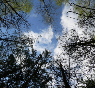Mikołaj Seremet – zdjęcie pt. Wiosenne niebo nad Dusocinem – wykonane w Dusocinie.