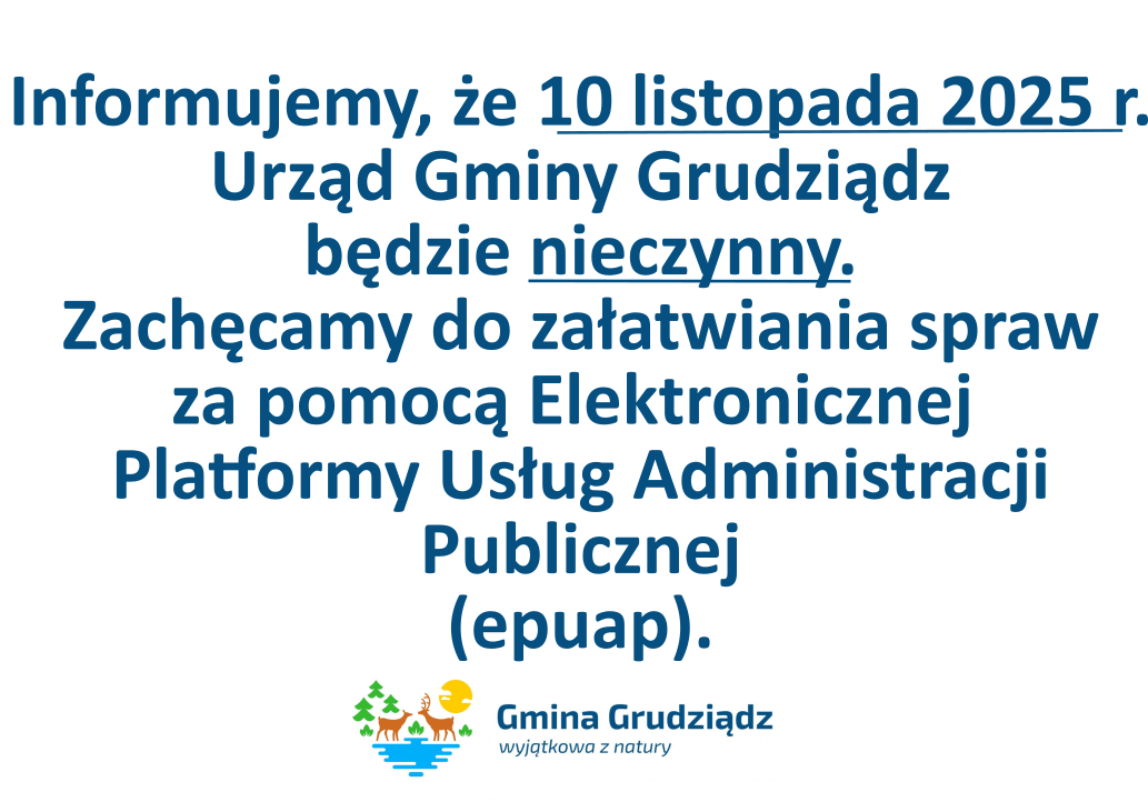 Element graficzny - 10 listopada 2025 r.